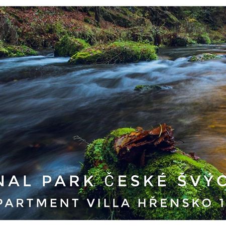 Apartment Villa Hrensko 132 外观 照片